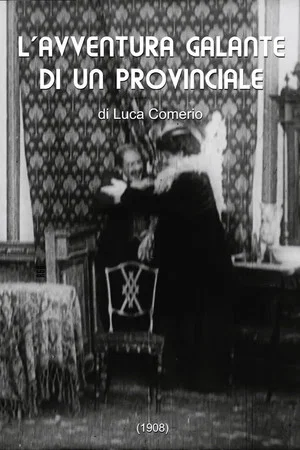 Постер: The Gallant Adventure of a Provincial