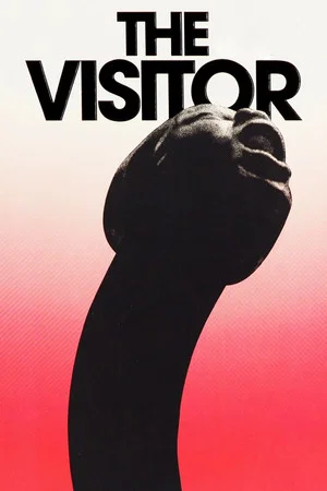 Постер: The Visitor