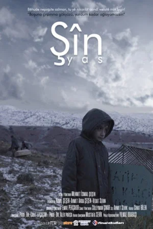 Постер: Şîn