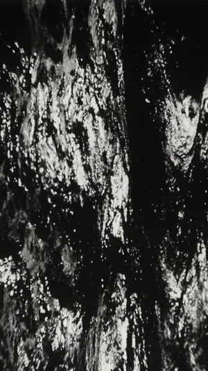 Постер: Bitemporal Vision: The Sea