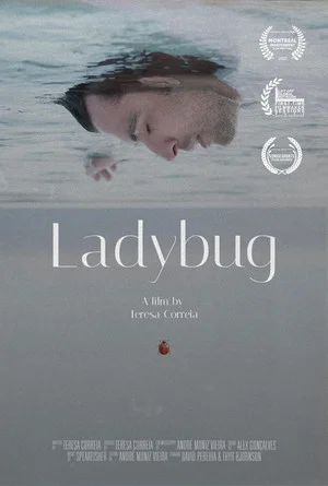 Постер: Ladybug