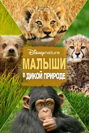 Постер: Малыши в дикой природе