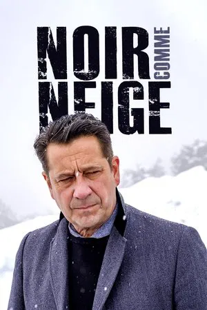 Постер: Noir comme neige
