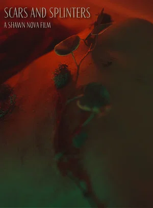 Постер: Scars and Splinters