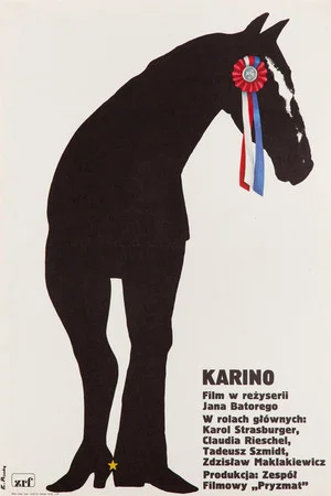 Постер: Karino