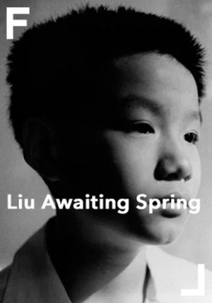 Постер: Liu Awaiting Spring