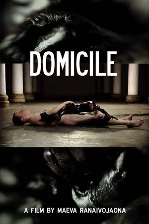 Постер: Domicile