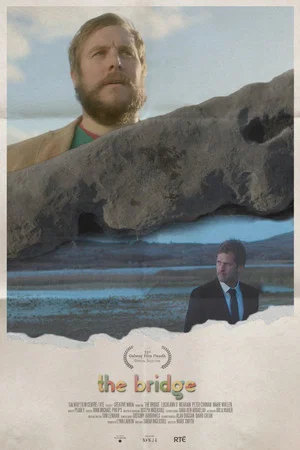 Постер: The Bridge