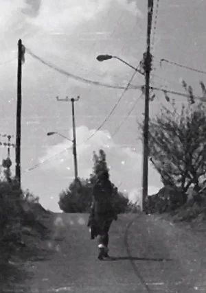 Постер: Memoria