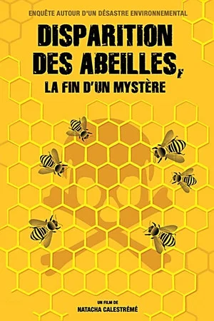 Постер: Disparition des abeilles, la fin d'un mystère