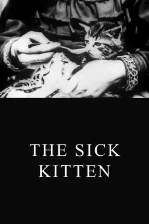 Постер: The Sick Kitten