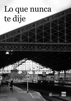 Постер: Lo que nunca te dije