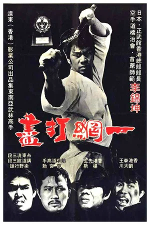 Постер: The Thunder Kick
