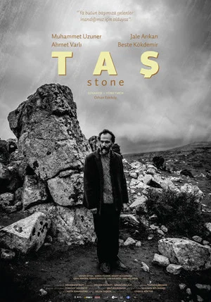 Постер: The Stone