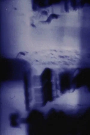 Постер: Imprint