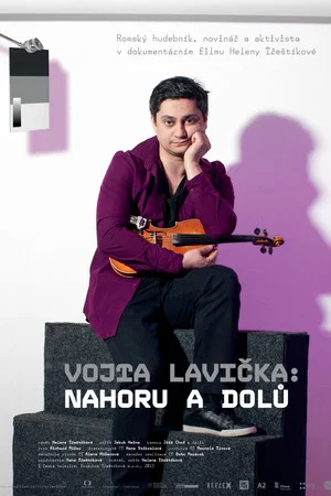 Постер: Vojta Lavička: Ups and Downs