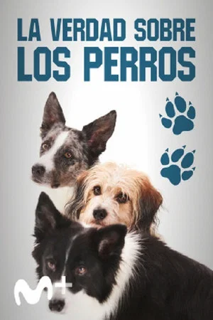 Постер: Dog Tales