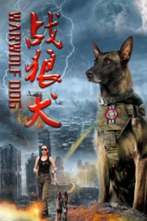 Постер: 战狼犬