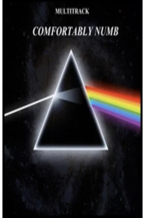 Постер: Pink Floyd - Comfortably Numb