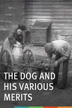 Постер: The Dog and His Various Merits