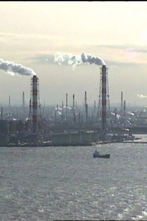 Постер: Where Has All the Pollution Gone?