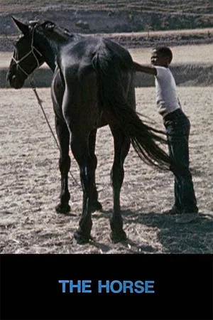 Постер: The Horse
