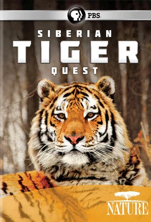 Постер: Siberian Tiger Quest