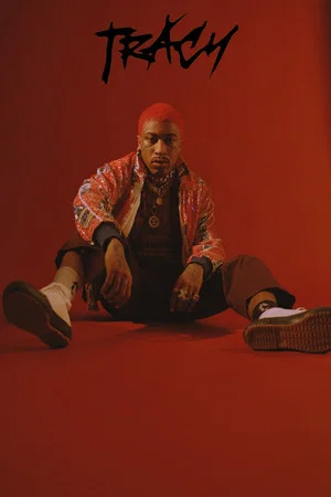 Постер: Tracy: The Lil Tracy Documentary