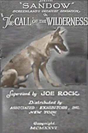 Постер: The Call of the Wilderness