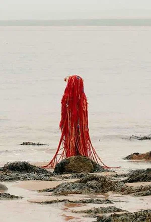Постер: symphony for a fraying body