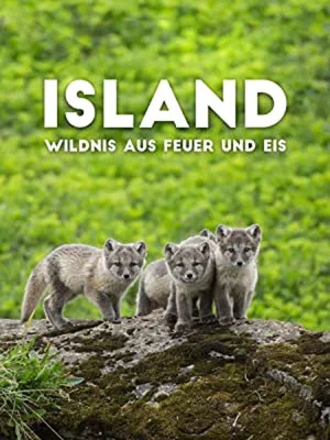 Постер: Iceland: Wilderness of Fire and Ice