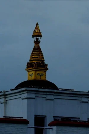 Постер: Unconcerned