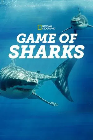 Постер: Game of Sharks