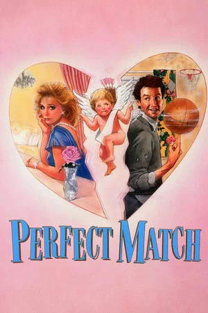 Постер: The Perfect Match