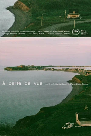 Постер: Vanishing Point