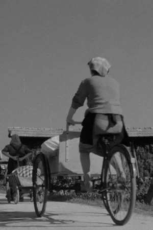 Постер: Laundresses from Bizovik