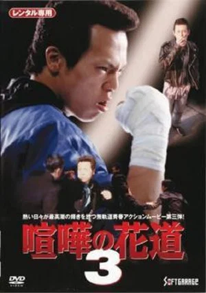 Постер: The Way to Fight 3