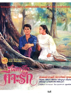 Постер: ผิดหรือที่จะรัก