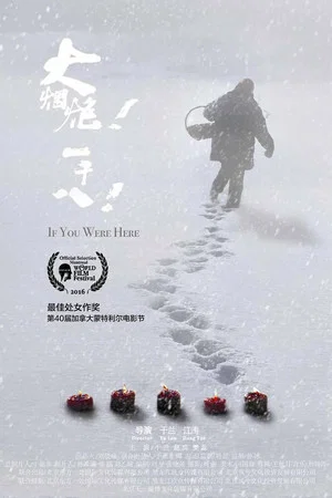 Постер: If You Were Here