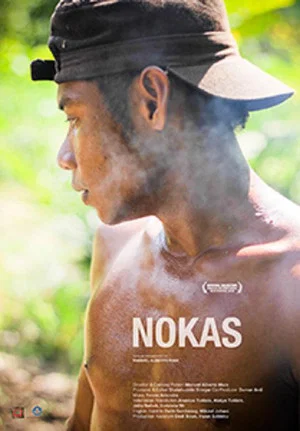 Постер: Nokas