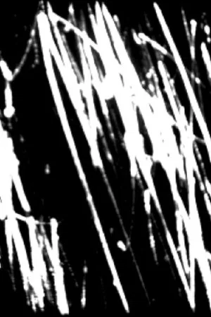 Постер: Bye Bye Black Bird