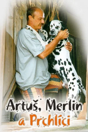Постер: Artus, Merlin a Prchlici