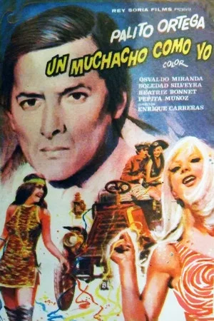 Постер: Un muchacho como yo