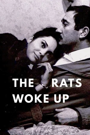 Постер: The Rats Woke Up