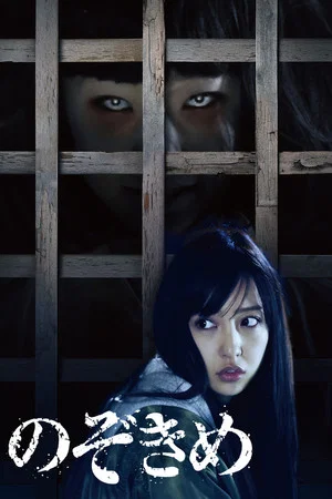 Постер: The Stare