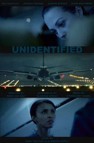 Постер: Unidentified