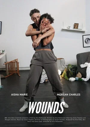 Постер: Wounds