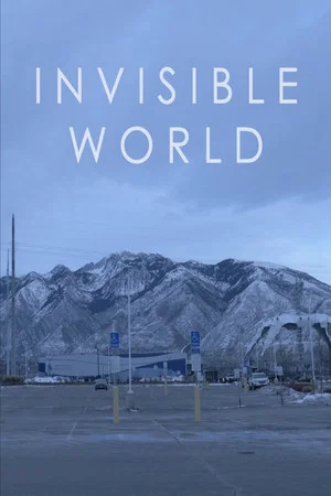 Постер: Invisible World