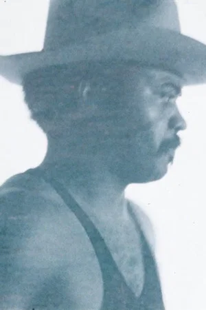 Постер: Lonesome Cowboy