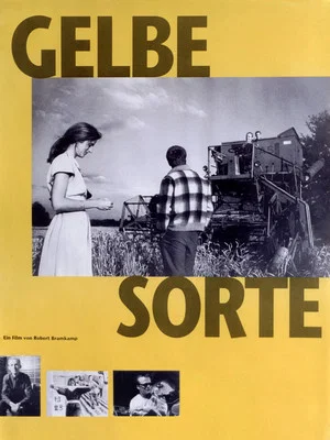 Постер: Gelbe Sorte
